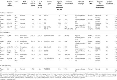 A Rare Presentation Characterized by Epileptic Spasms in ALDH7A1, Pyridox(am)ine-5′-Phosphate Oxidase, and PLPBP Deficiency